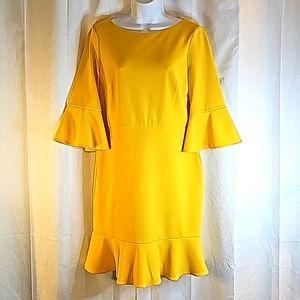 3/$20 Nine West 6 Bell Sleeve Dress